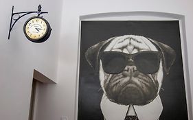 Mops Bob Apartment